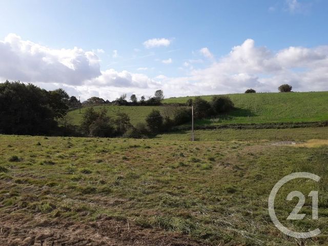 Afficher la photo en grand terrain à vendre - 3000.0 m2 - ARTHEZ DE BEARN - 64 - AQUITAINE - Century 21 Agence Du Pont - Vieux