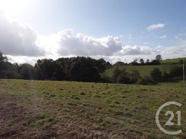 Afficher la photo en grand terrain à vendre - 3000.0 m2 - ARTHEZ DE BEARN - 64 - AQUITAINE - Century 21 Agence Du Pont - Vieux