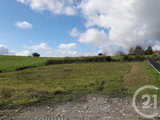Afficher la photo en grand terrain à vendre - 3000.0 m2 - ARTHEZ DE BEARN - 64 - AQUITAINE - Century 21 Agence Du Pont - Vieux