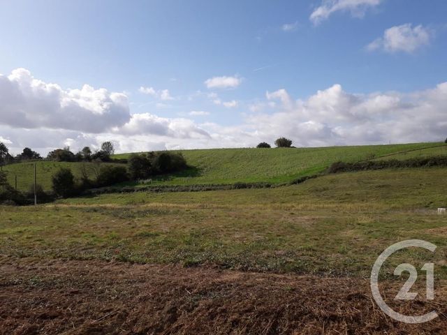 Afficher la photo en grand terrain à vendre - 3000.0 m2 - ARTHEZ DE BEARN - 64 - AQUITAINE - Century 21 Agence Du Pont - Vieux