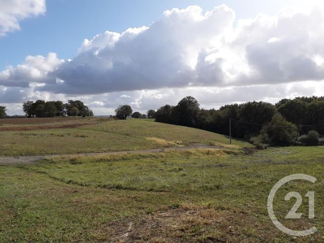 terrain à vendre - 4017.0 m2 - LABEYRIE - 64 - AQUITAINE - Century 21 Agence Du Pont - Vieux