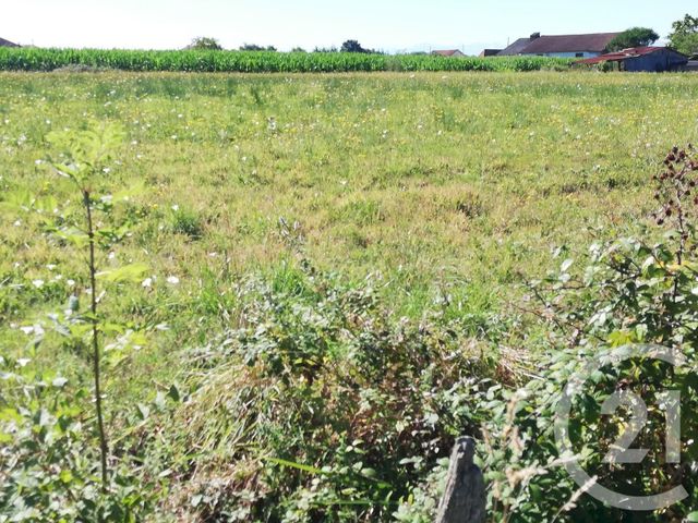 terrain à vendre - 1936.0 m2 - SAULT DE NAVAILLES - 64 - AQUITAINE - Century 21 Agence Du Pont - Vieux