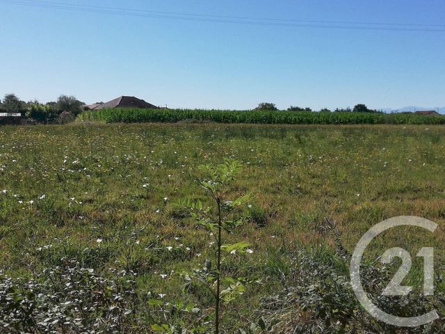 terrain à vendre - 1946.0 m2 - SAULT DE NAVAILLES - 64 - AQUITAINE - Century 21 Agence Du Pont - Vieux