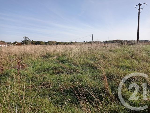 terrain à vendre - 1959.0 m2 - BONNEGARDE - 40 - AQUITAINE - Century 21 Agence Du Pont - Vieux