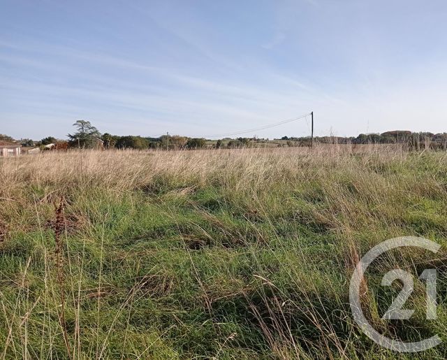 terrain à vendre - 1959.0 m2 - BONNEGARDE - 40 - AQUITAINE - Century 21 Agence Du Pont - Vieux