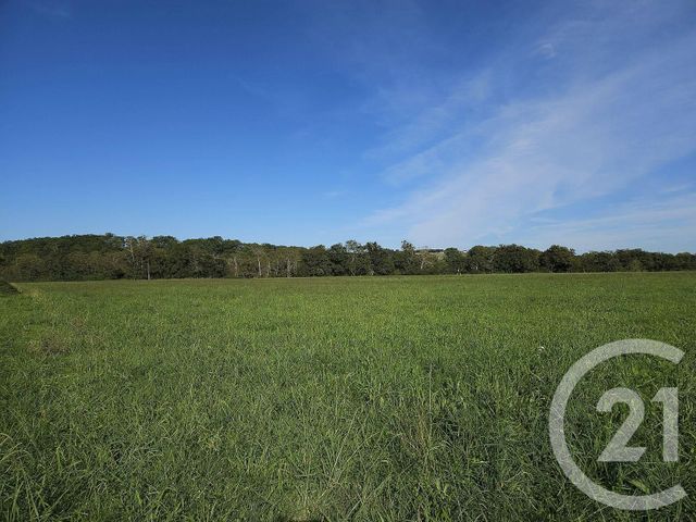 terrain à vendre - 33929.0 m2 - SAULT DE NAVAILLES - 64 - AQUITAINE - Century 21 Agence Du Pont - Vieux