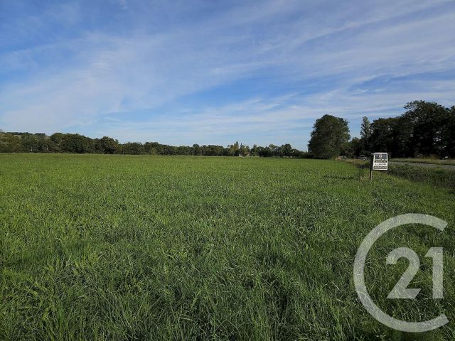 terrain à vendre - 33929.0 m2 - SAULT DE NAVAILLES - 64 - AQUITAINE - Century 21 Agence Du Pont - Vieux