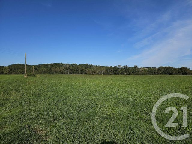 terrain à vendre - 33929.0 m2 - SAULT DE NAVAILLES - 64 - AQUITAINE - Century 21 Agence Du Pont - Vieux