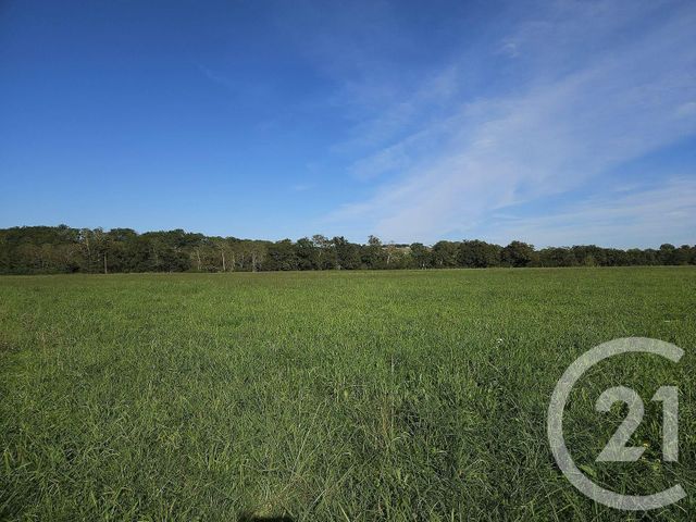 terrain à vendre - 33929.0 m2 - SAULT DE NAVAILLES - 64 - AQUITAINE - Century 21 Agence Du Pont - Vieux