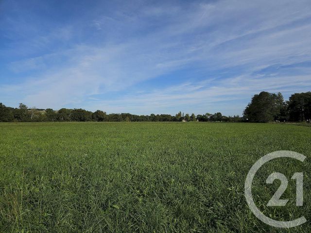 terrain à vendre - 33929.0 m2 - SAULT DE NAVAILLES - 64 - AQUITAINE - Century 21 Agence Du Pont - Vieux