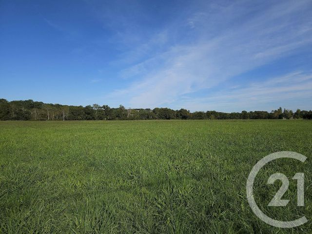 terrain à vendre - 33929.0 m2 - SAULT DE NAVAILLES - 64 - AQUITAINE - Century 21 Agence Du Pont - Vieux