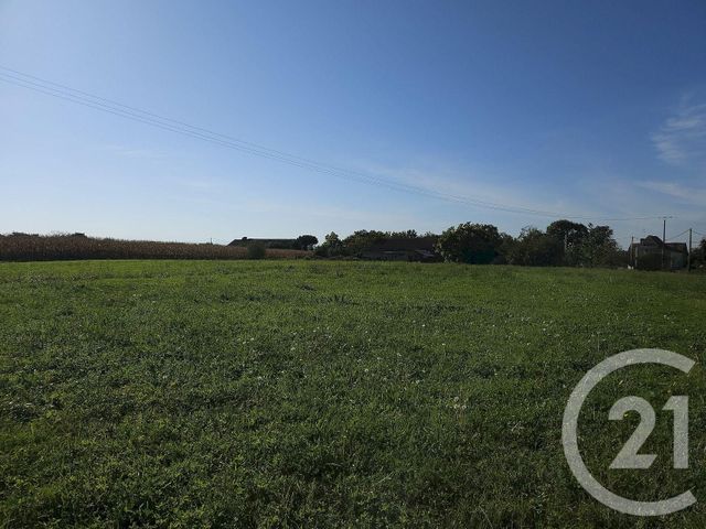 terrain à vendre - 2000.0 m2 - HAGETAUBIN - 64 - AQUITAINE - Century 21 Agence Du Pont - Vieux