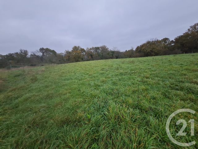 terrain - ST MEDARD - 64