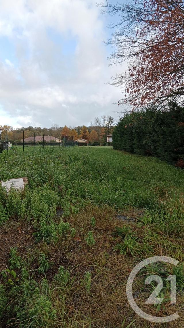 terrain à vendre - 1650.0 m2 - SAULT DE NAVAILLES - 64 - AQUITAINE - Century 21 Agence Du Pont - Vieux