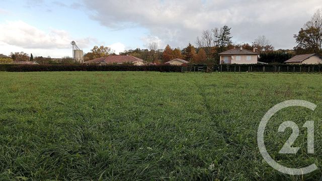 terrain à vendre - 1650.0 m2 - SAULT DE NAVAILLES - 64 - AQUITAINE - Century 21 Agence Du Pont - Vieux