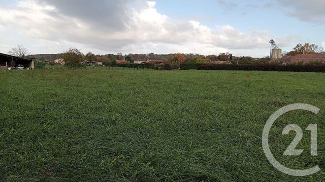 terrain à vendre - 1650.0 m2 - SAULT DE NAVAILLES - 64 - AQUITAINE - Century 21 Agence Du Pont - Vieux