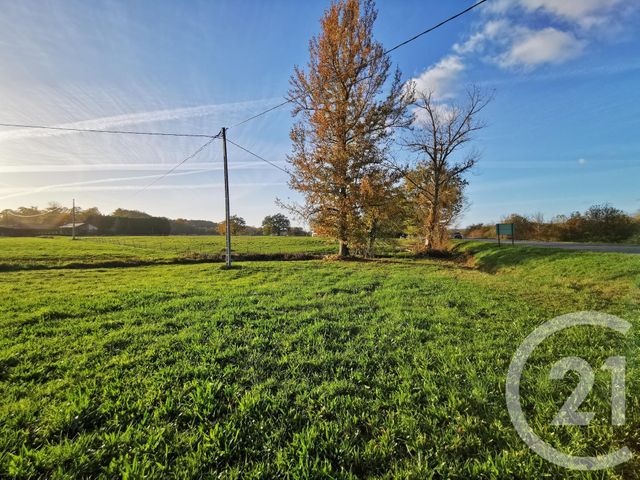 terrain à vendre - 29250.0 m2 - LACADEE - 64 - AQUITAINE - Century 21 Agence Du Pont - Vieux