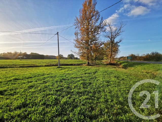 terrain à vendre - 20463.0 m2 - LACADEE - 64 - AQUITAINE - Century 21 Agence Du Pont - Vieux