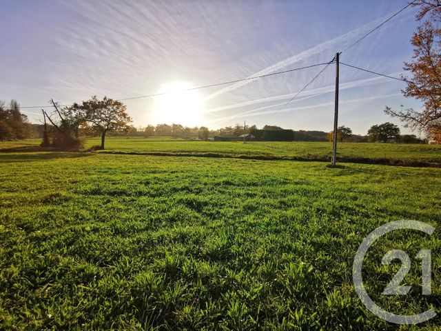 terrain à vendre - 20463.0 m2 - LACADEE - 64 - AQUITAINE - Century 21 Agence Du Pont - Vieux