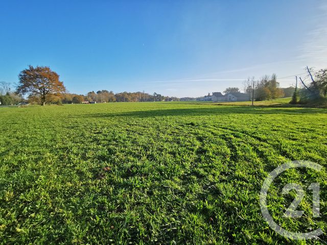 terrain à vendre - 20463.0 m2 - LACADEE - 64 - AQUITAINE - Century 21 Agence Du Pont - Vieux