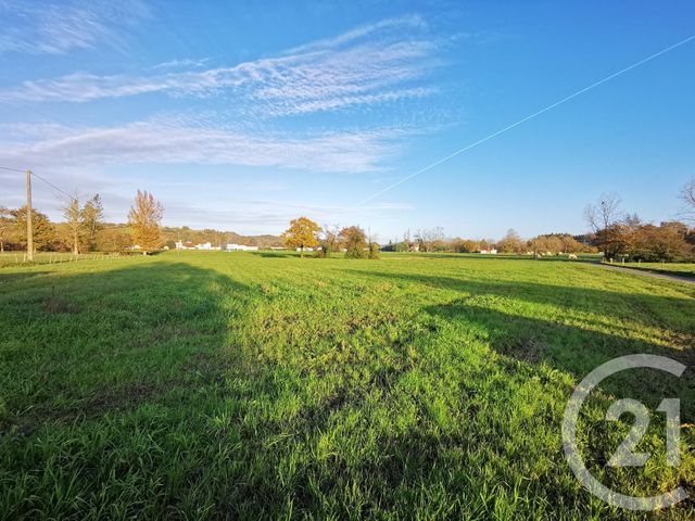 terrain à vendre - 20463.0 m2 - LACADEE - 64 - AQUITAINE - Century 21 Agence Du Pont - Vieux