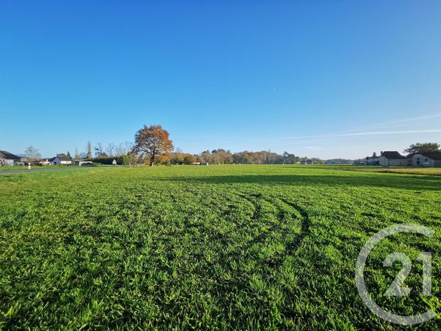 terrain à vendre - 20463.0 m2 - LACADEE - 64 - AQUITAINE - Century 21 Agence Du Pont - Vieux