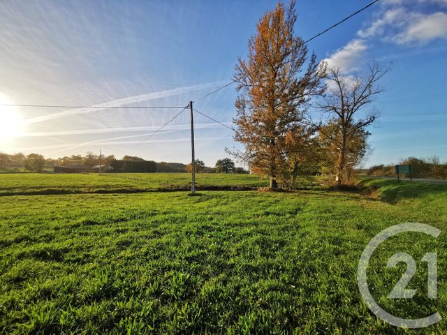 terrain à vendre - 20463.0 m2 - LACADEE - 64 - AQUITAINE - Century 21 Agence Du Pont - Vieux