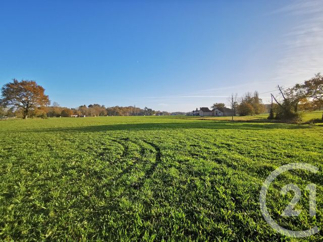 Afficher la photo en grand terrain à vendre - 28250.0 m2 - LACADEE - 64 - AQUITAINE - Century 21 Agence Du Pont - Vieux