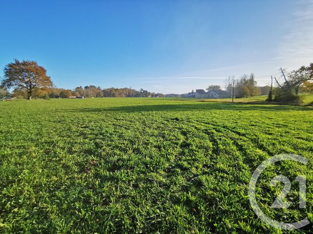 Afficher la photo en grand terrain à vendre - 28250.0 m2 - LACADEE - 64 - AQUITAINE - Century 21 Agence Du Pont - Vieux