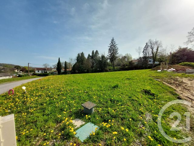 terrain à vendre - 1030.0 m2 - LAA MONDRANS - 64 - AQUITAINE - Century 21 Agence Du Pont - Vieux
