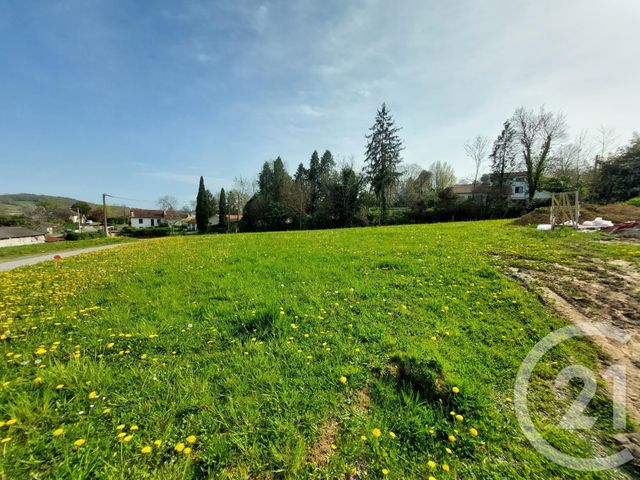terrain à vendre - 1030.0 m2 - LAA MONDRANS - 64 - AQUITAINE - Century 21 Agence Du Pont - Vieux