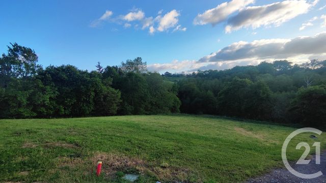 terrain à vendre - 1795.0 m2 - BONNUT - 64 - AQUITAINE - Century 21 Agence Du Pont - Vieux