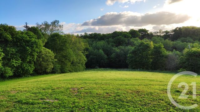 terrain à vendre - 1795.0 m2 - BONNUT - 64 - AQUITAINE - Century 21 Agence Du Pont - Vieux