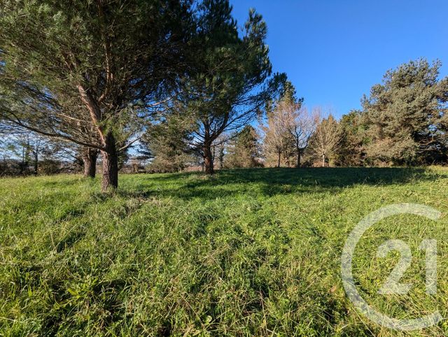 maison à vendre - 6 pièces - 287.27 m2 - ORTHEZ - 64 - AQUITAINE - Century 21 Agence Du Pont - Vieux