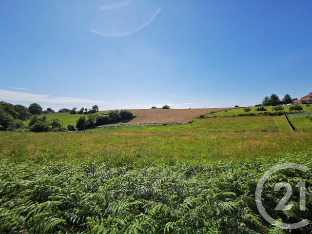 terrain à vendre - 1812.0 m2 - LABEYRIE - 64 - AQUITAINE - Century 21 Agence Du Pont - Vieux