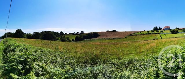 terrain à vendre - 1812.0 m2 - LABEYRIE - 64 - AQUITAINE - Century 21 Agence Du Pont - Vieux