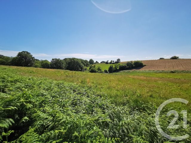 terrain à vendre - 1812.0 m2 - LABEYRIE - 64 - AQUITAINE - Century 21 Agence Du Pont - Vieux
