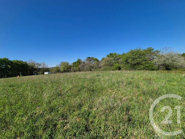 terrain à vendre - 2180.0 m2 - ST MEDARD - 64 - AQUITAINE - Century 21 Agence Du Pont - Vieux