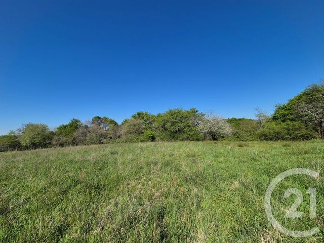 terrain à vendre - 2180.0 m2 - ST MEDARD - 64 - AQUITAINE - Century 21 Agence Du Pont - Vieux