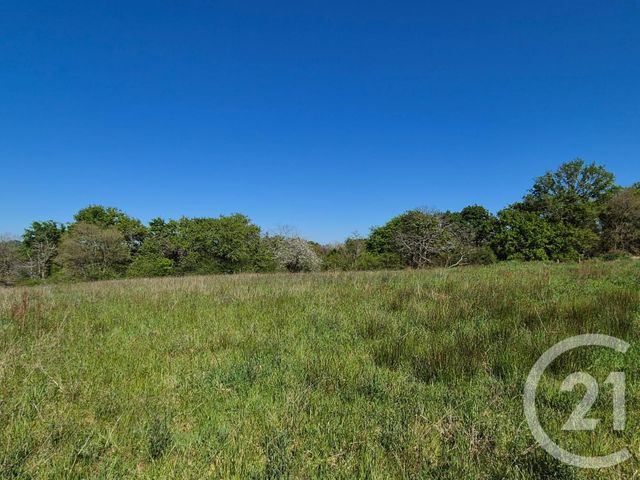 terrain à vendre - 2180.0 m2 - ST MEDARD - 64 - AQUITAINE - Century 21 Agence Du Pont - Vieux