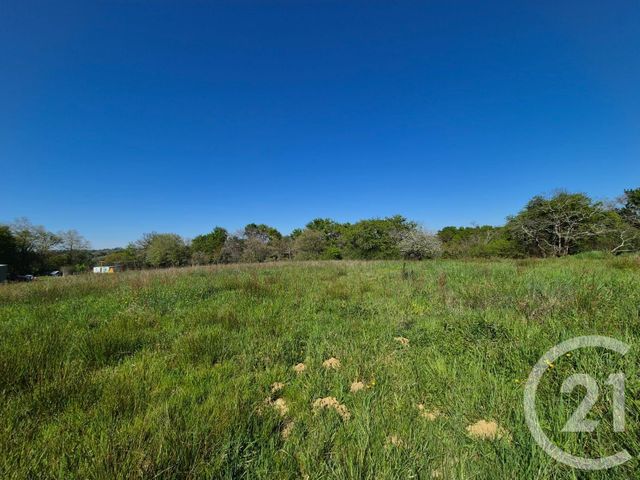 terrain à vendre - 2180.0 m2 - ST MEDARD - 64 - AQUITAINE - Century 21 Agence Du Pont - Vieux