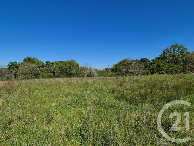 terrain à vendre - 2180.0 m2 - ST MEDARD - 64 - AQUITAINE - Century 21 Agence Du Pont - Vieux