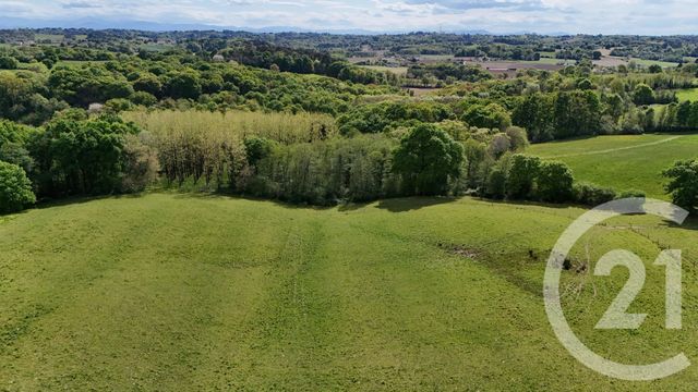 terrain à vendre - 1624.0 m2 - BONNUT - 64 - AQUITAINE - Century 21 Agence Du Pont - Vieux