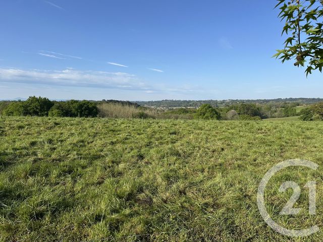terrain à vendre - 1624.0 m2 - BONNUT - 64 - AQUITAINE - Century 21 Agence Du Pont - Vieux