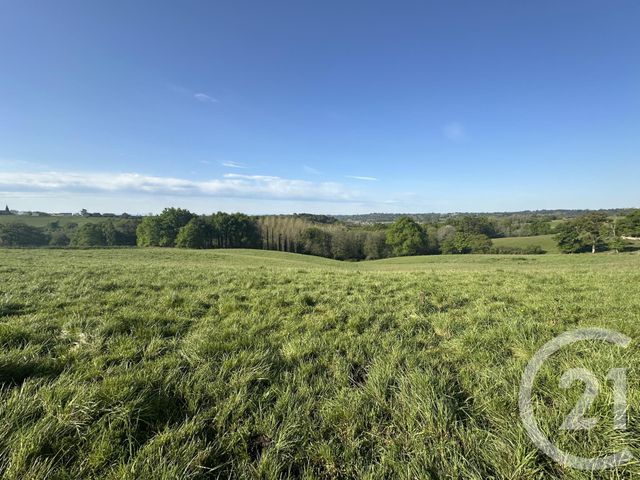 terrain à vendre - 1625.0 m2 - ORTHEZ - 64 - AQUITAINE - Century 21 Agence Du Pont - Vieux