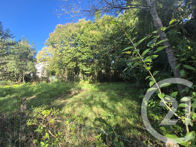 immeuble à vendre - 65.0 m2 - SAUVETERRE DE BEARN - 64 - AQUITAINE - Century 21 Agence Du Pont - Vieux
