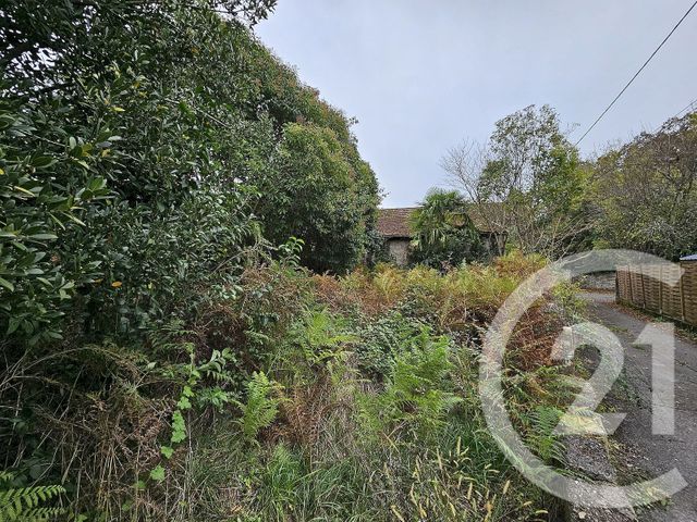 immeuble à vendre - 225.0 m2 - SAUVETERRE DE BEARN - 64 - AQUITAINE - Century 21 Agence Du Pont - Vieux