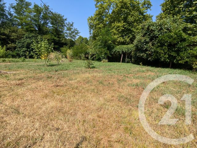 maison à vendre - 5 pièces - 82.0 m2 - PUYOO - 64 - AQUITAINE - Century 21 Agence Du Pont - Vieux