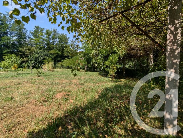 maison à vendre - 5 pièces - 82.0 m2 - PUYOO - 64 - AQUITAINE - Century 21 Agence Du Pont - Vieux