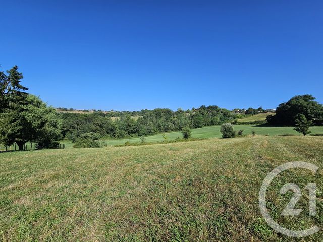 terrain à vendre - 3685.0 m2 - BAIGTS DE BEARN - 64 - AQUITAINE - Century 21 Agence Du Pont - Vieux